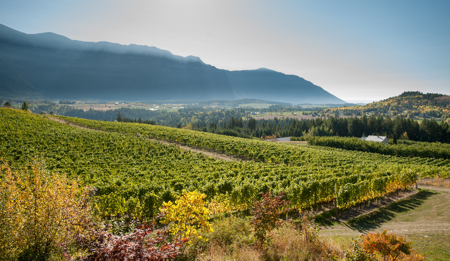 creston bc winery tour